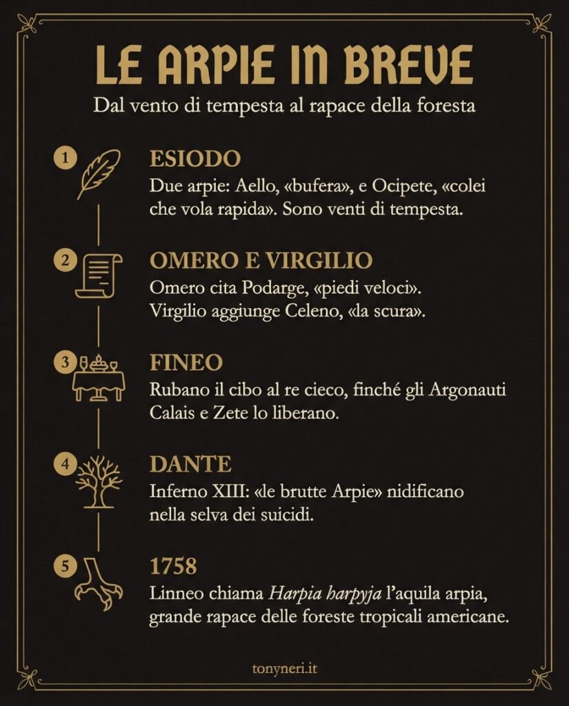 infografica che descrive l'evoluzione della figura dell'arpia, dal mito antico greco, in cui erano belle fanciulle con le ali, ai mostri orrendi di Dante, fino all'aquila arpia battezzata da Linneo